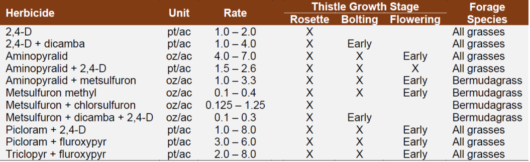 Table showing recommended herbicides for thistle control ant different growth stages in Mississippi.